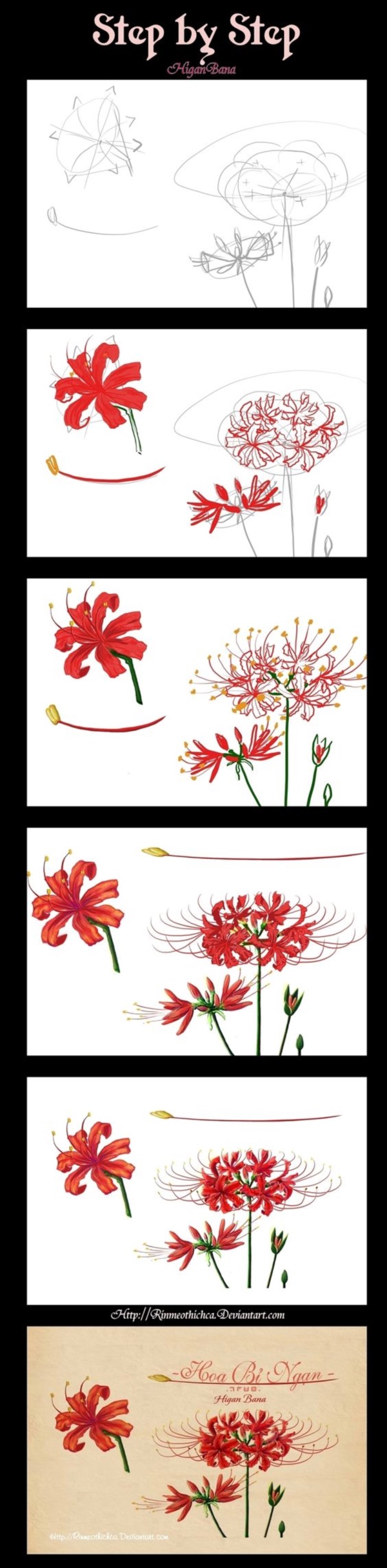 How To Draw A Flower (Step By Step Image Guides)