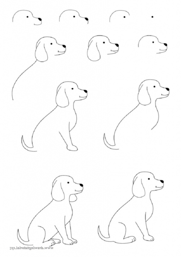 How To Draw Easy Animals Step By Step Image Guide
