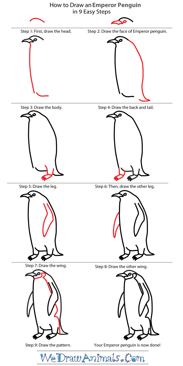 how-to-draw-easy-animals-step-by-step-image-guide