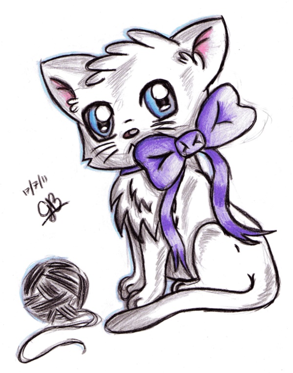40 Simple Cat drawing Examples anyone Can Try