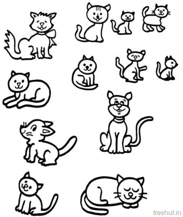 40 Simple Cat drawing Examples anyone Can Try