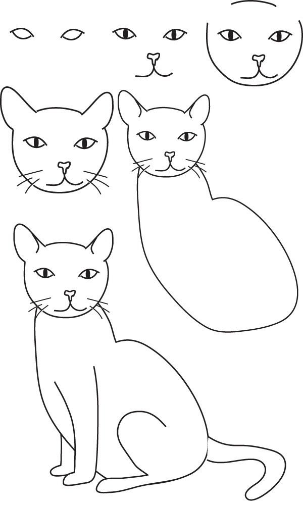 Simple Cat drawing Examples anyone Can Try - photofun4ucom