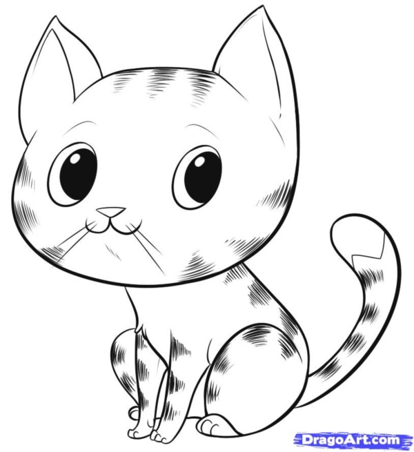 40 Simple Cat drawing Examples anyone Can Try