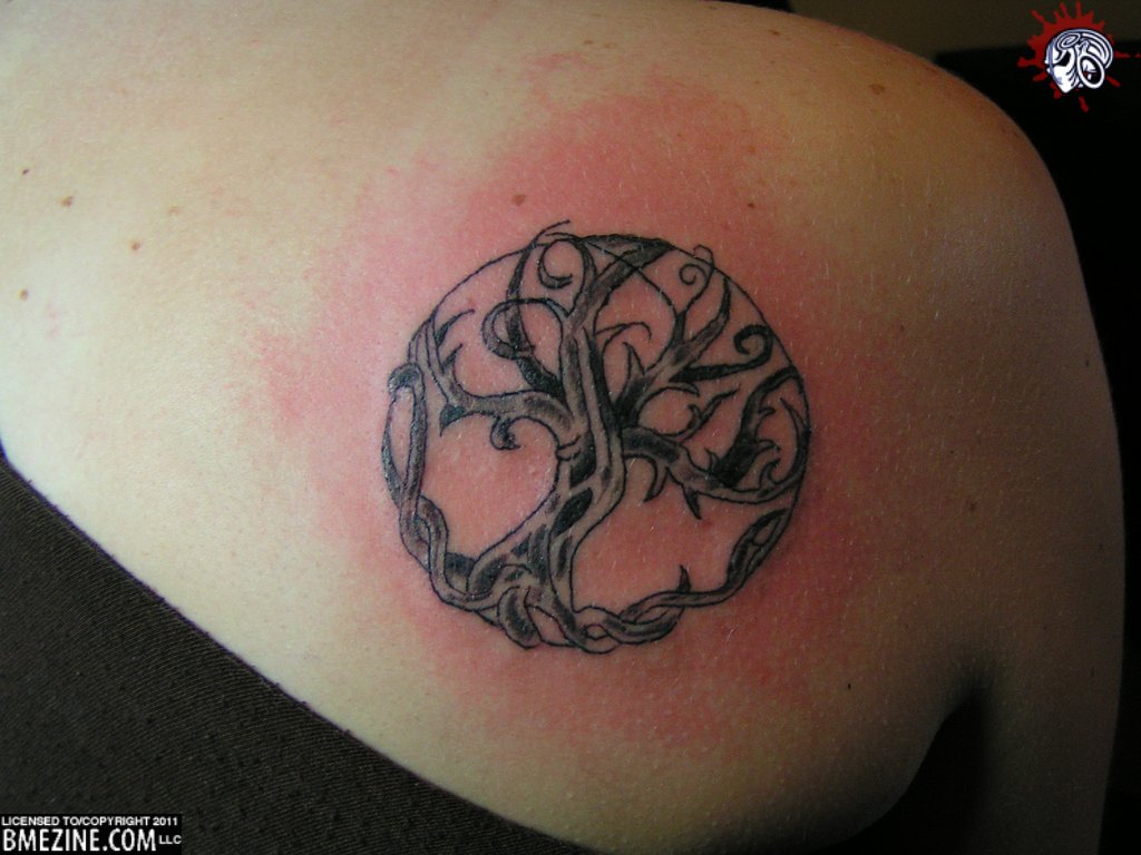 Tree tattoo6