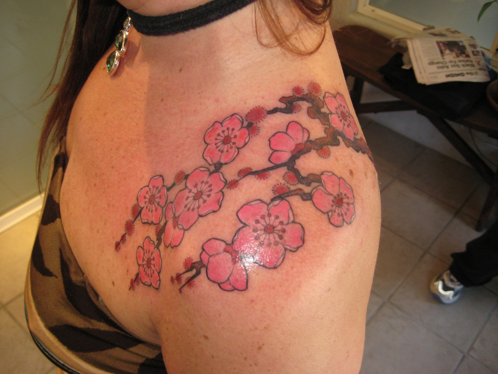 Cherry blossom1
