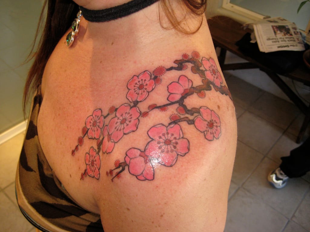 Cherry blossom1