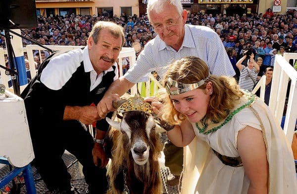 Killorglin Puck Fair