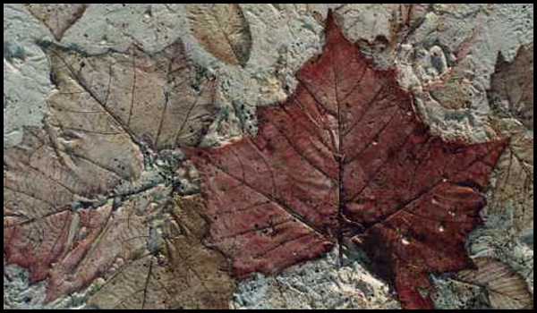 Examples Of Leaf Painting (5)