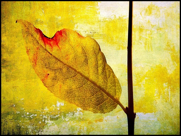 Examples Of Leaf Painting (8)