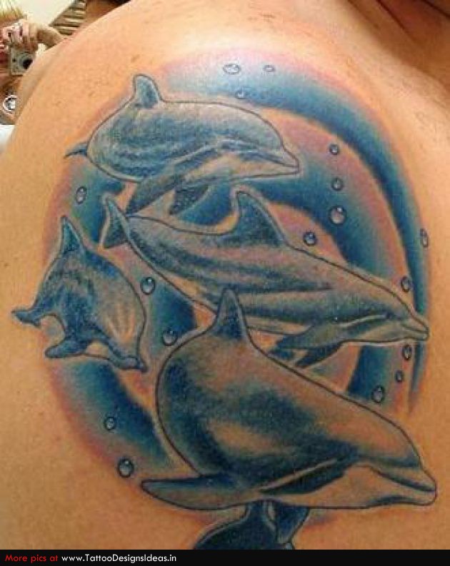 Dolphin tattoo - pod