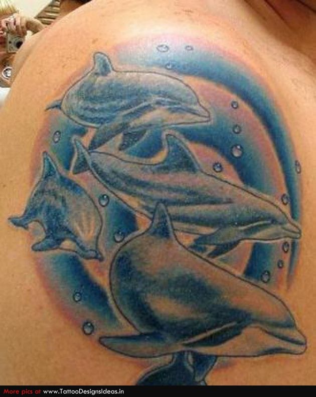 Dolphin tattoo - pod