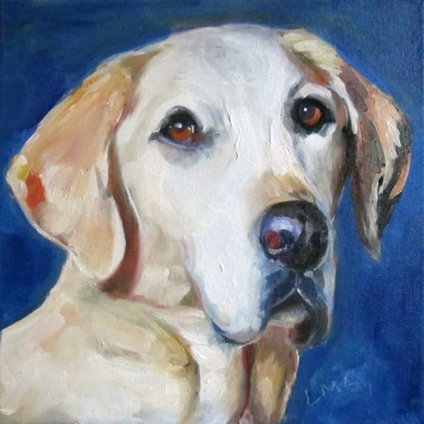 www.petfineart.com