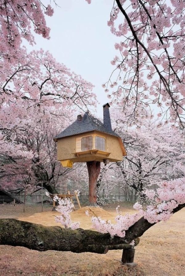 Beautiful Tree House Ideas (1)