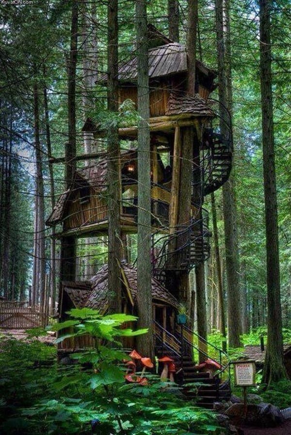 Beautiful Tree House Ideas (19)