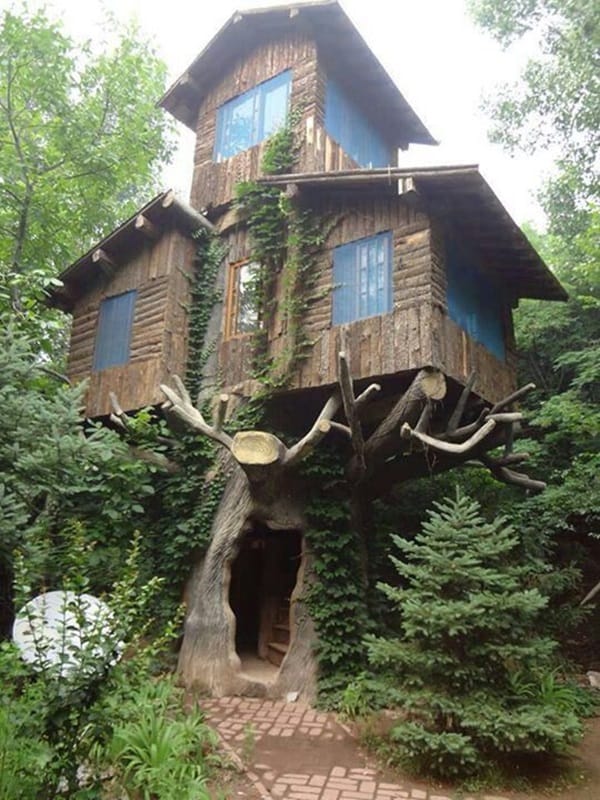 Beautiful Tree House Ideas (27)