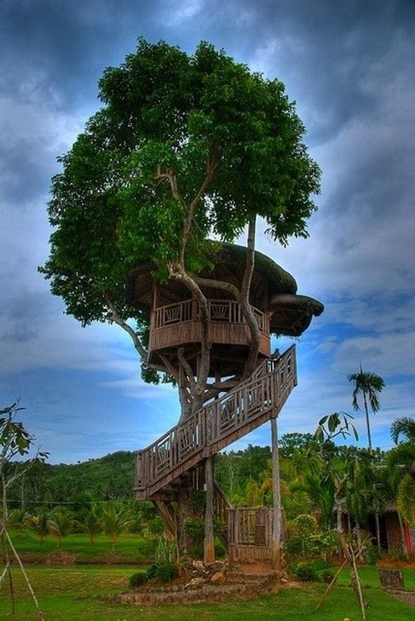 Beautiful Tree House Ideas (32)