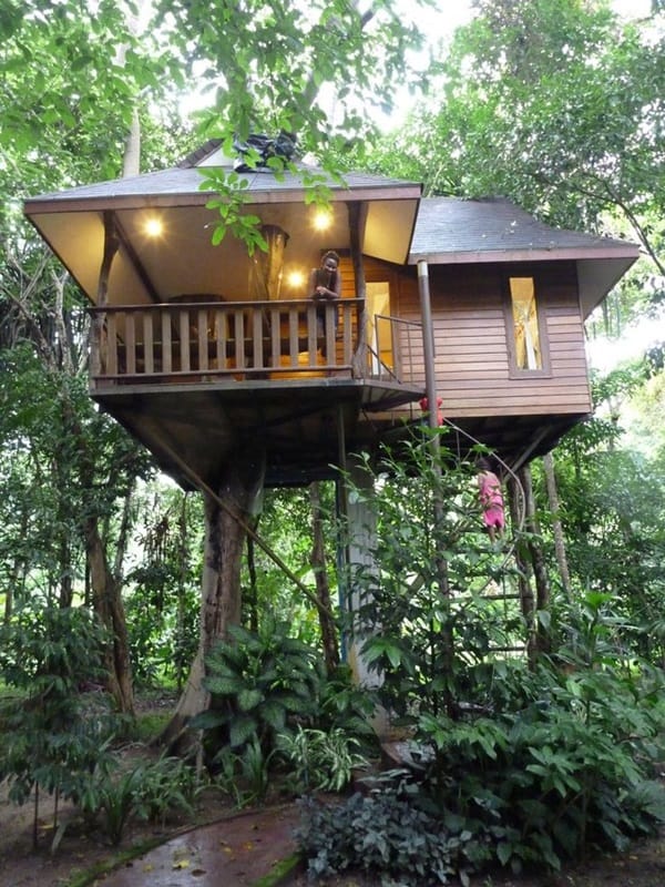 Beautiful Tree House Ideas (4)