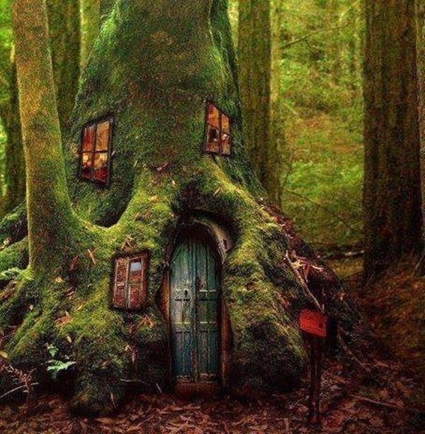 Beautiful Tree House Ideas (8)