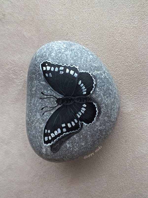 Pictures of painted rocks (17)