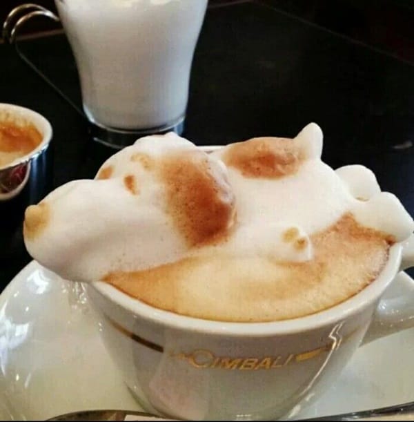 Beautiful coffee art examples (118)