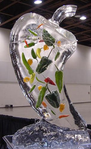 ice sculptures 14