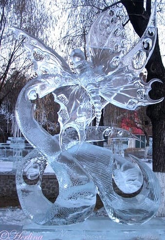 ice sculptures 58