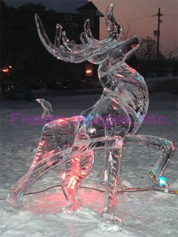 ice sculptures 9