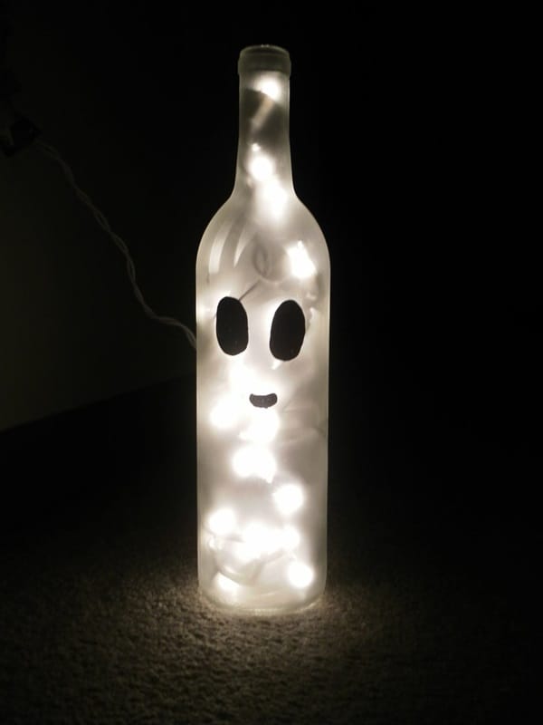 Beautiful Wine Bottle lamps  (8)