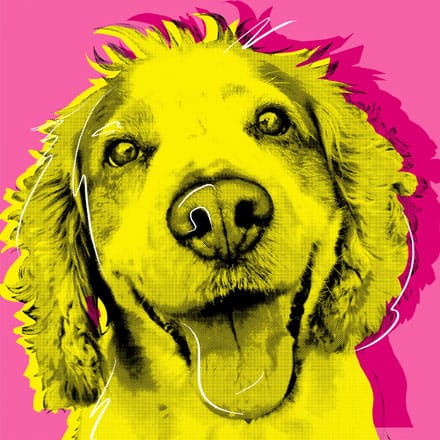 pop art andy warhol 12