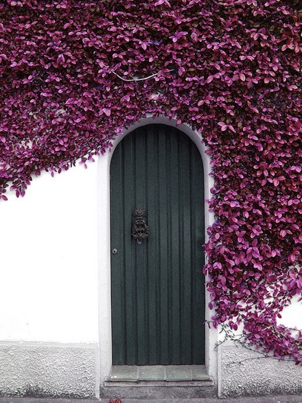Stunning Door Ideas (7)