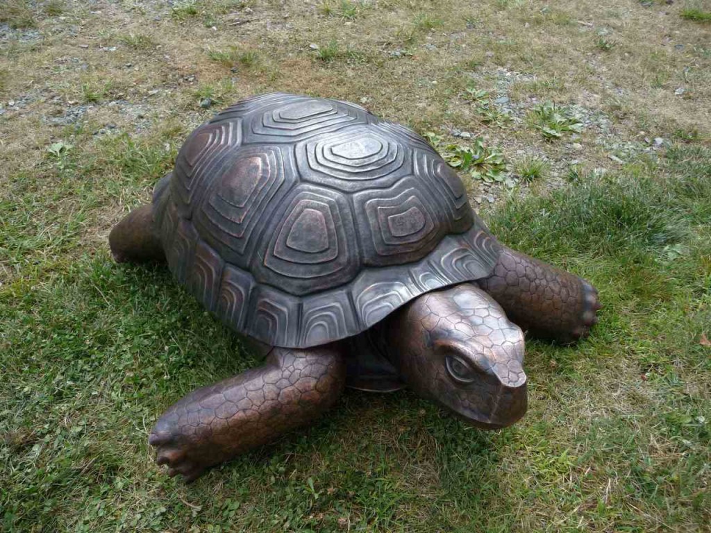metal-tortoise-sculpture-outdoor