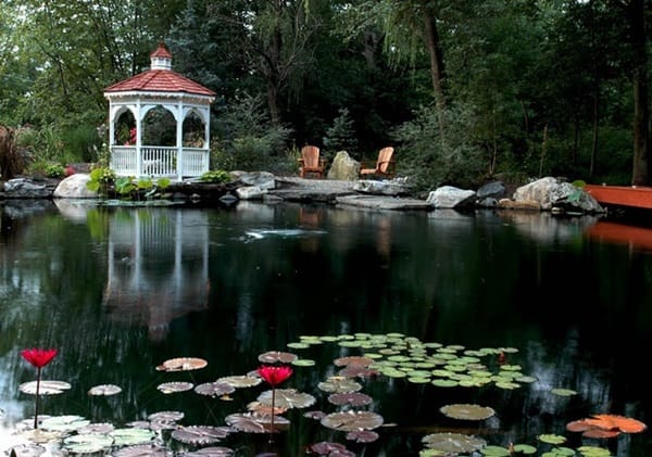 Elegant Backward Pond design (14)