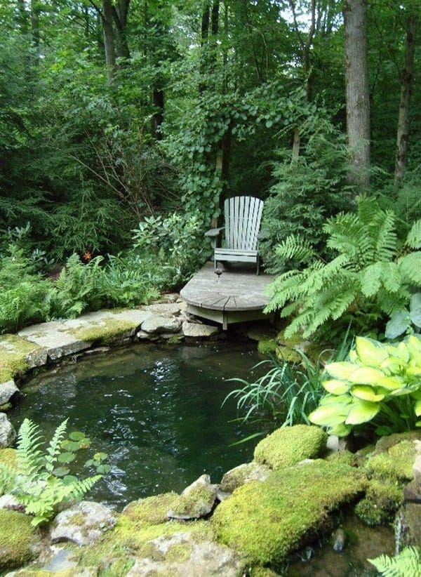 Elegant Backward Pond design (19)