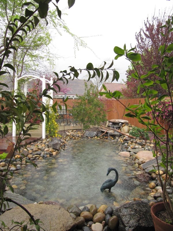 Elegant Backward Pond design (20)