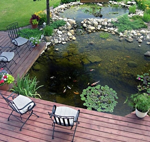 Elegant Backward Pond design (22)