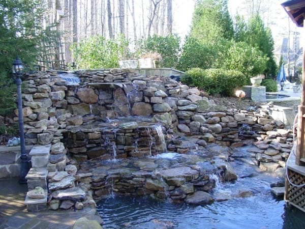 Elegant Backward Pond design (25)