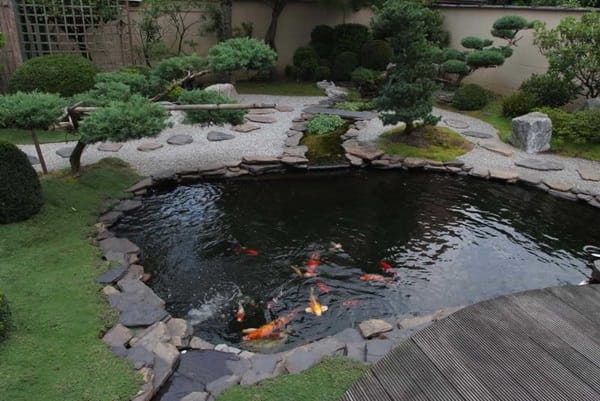 Elegant Backward Pond design (26)