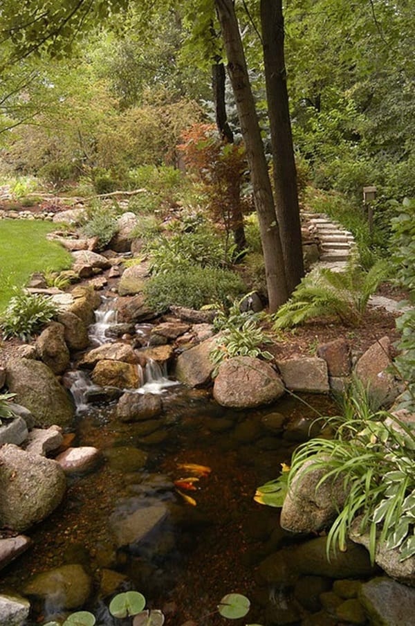 Elegant Backward Pond design (29)