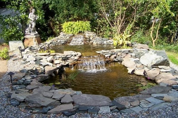 Elegant Backward Pond design (3)