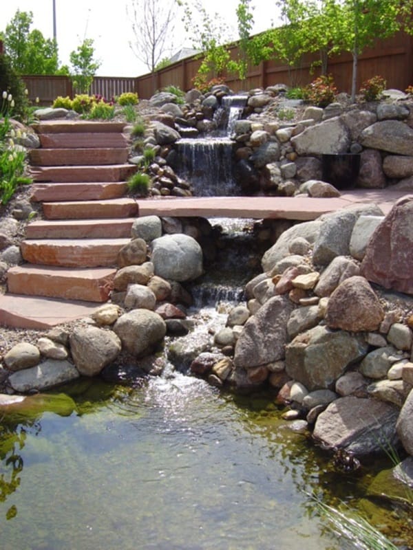 Elegant Backward Pond design (32)