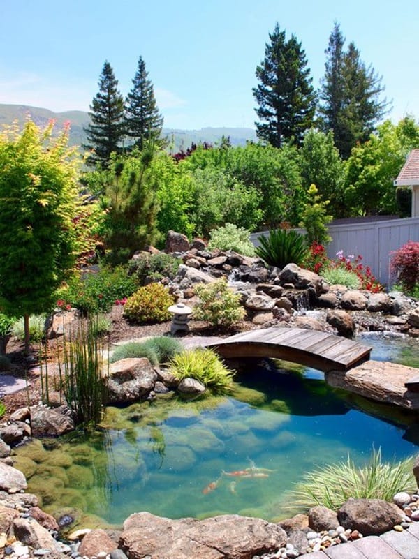 Elegant Backward Pond design (5)