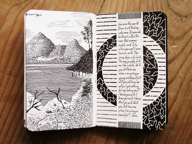 moleskine 20