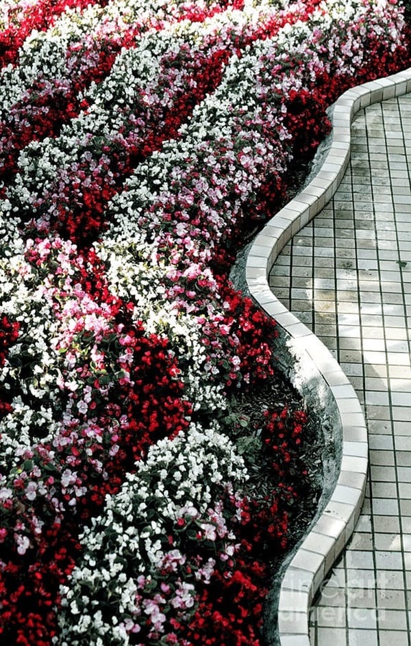 Cool Garden Edging Ideas (15)