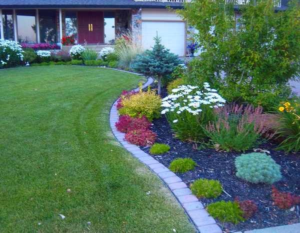 Cool Garden Edging Ideas (25)