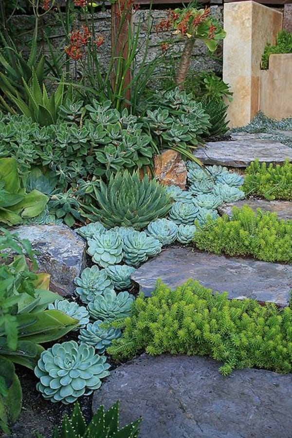 Cool Garden Edging Ideas (4)