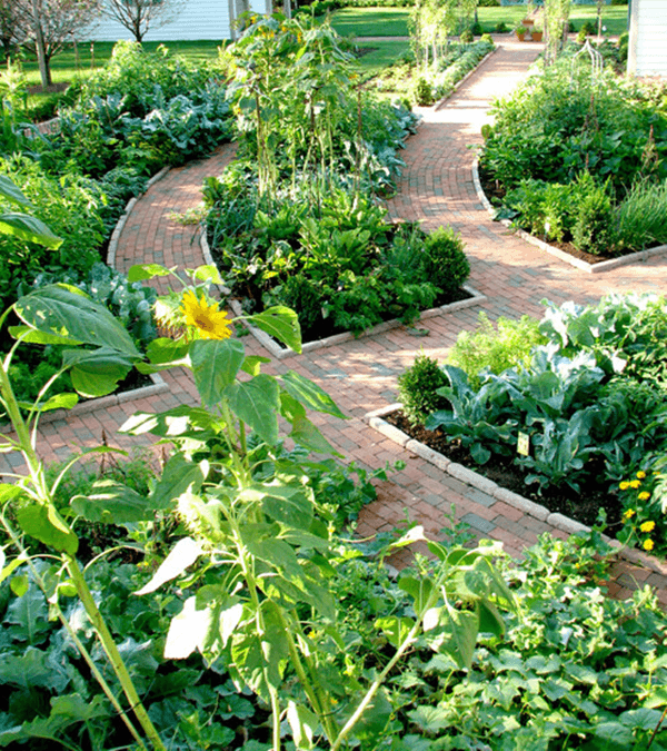 Cool Garden Edging Ideas (5)