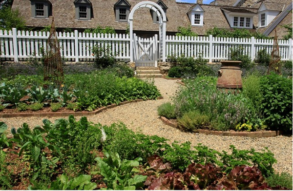 Cool Garden Edging Ideas (7)
