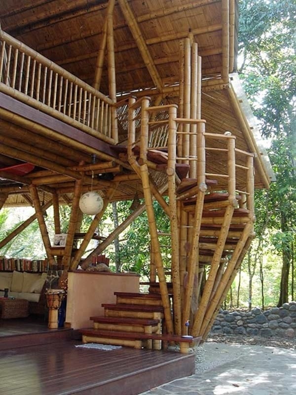 Raw Bamboo House Designs (12)