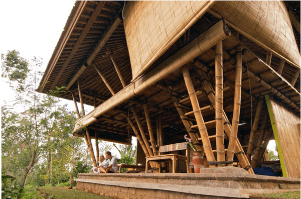 Raw Bamboo House Designs (5)