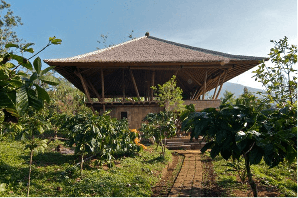 Raw Bamboo House Designs (8)